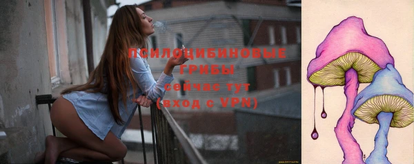 дурь Балахна