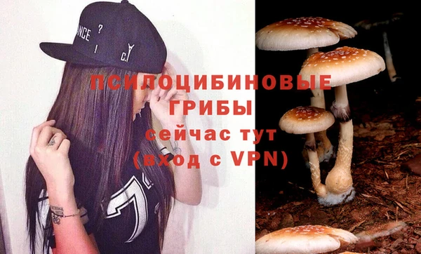 дурь Балахна
