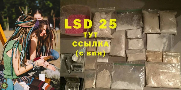 прущие грибы Баксан