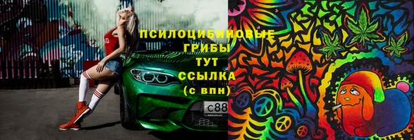 прущие грибы Баксан