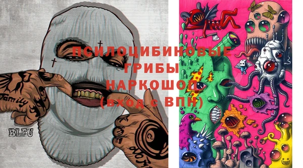 прущие грибы Баксан