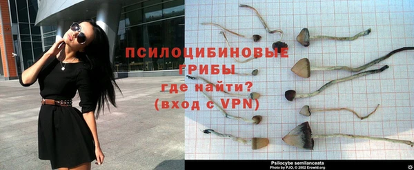 дурь Балахна