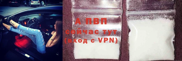 прущие грибы Баксан