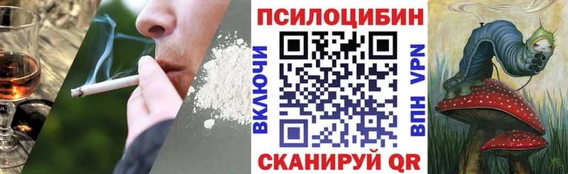 Псилоцибиновые грибы ЛСД  Грязовец 
